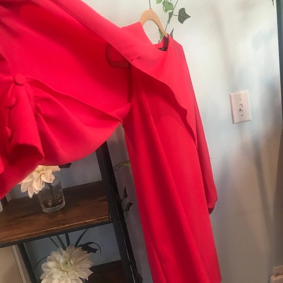 Zara Darling Hot Pink dress with cope like sleeves - Picture 4 of 5